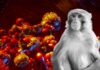 Argentina confirma primer caso de viruela del mono Argentina