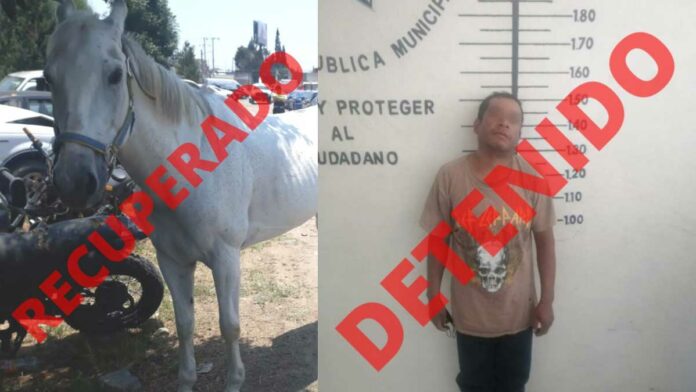 Caballo