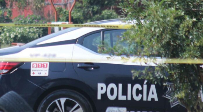 Localizan cadáver descompuesto junto a carretera a Oaxaca cadáver