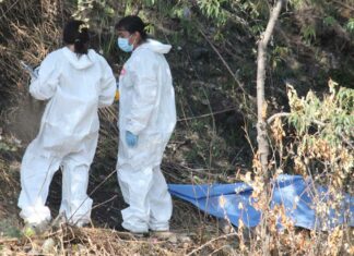 Propone PT crear la cédula de identificación humana en Puebla Cadáver