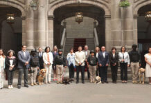 Jubilan con honores a 16 agentes caninos de la SSC Puebla Estos caninos dejarán atrás labores de detección de explosivos y armas de fuego.
