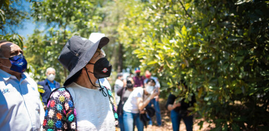 BUAP Teziutlán rectora