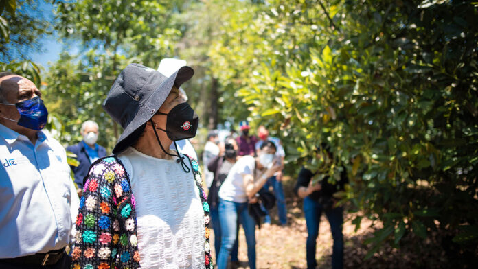 cedillo BUAP Teziutlán rectora