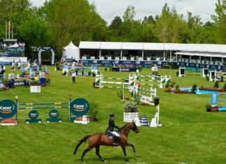 Sedena solicita 8 mdp para compra de caballos olímpicos