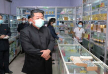 OMS ofrece ayuda a Corea del Norte para enfrentar Covid-19 Corea OMS