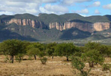 Revocarán declaratorias de Área Natural Protegida emitidas por panistas Barbosa Huerta acusó que administraciones estatales panistas emitieron declaratorias por venganza y revanchismos políticos.