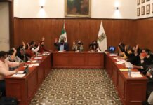 Aprueba San Pedro comité para prevenir embarazo adolescente Embarazo