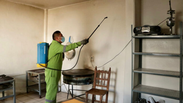 fumigación El Programa de Fumigación beneficiará alumnos y alumnas de 14 instituciones para mantenerlos libres de bacterias y cuidar sus salud.