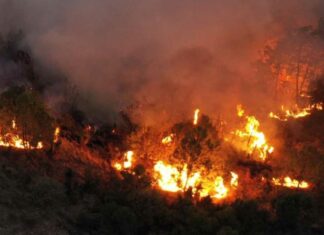 Combaten 6 incendios forestales activos en Puebla Incendios