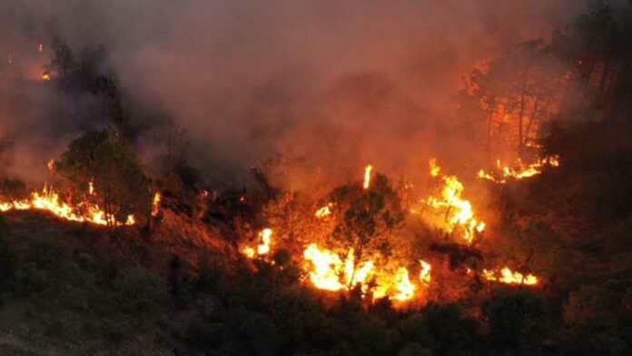 Incendios