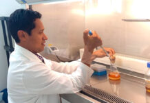Investigador de la BUAP estudia cultivos para inhibir crecimiento de patógenos investigador buap patógenos