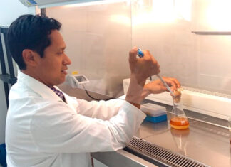 Investigador de la BUAP estudia cultivos para inhibir crecimiento de patógenos investigador buap patógenos