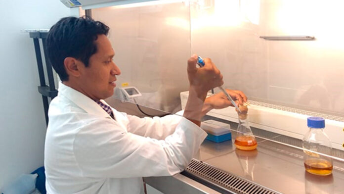 investigador-buap investigador buap patógenos