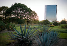 Jardín Botánico de la BUAP celebra 35 aniversario