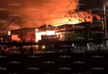 Fuerte incendio en maderería enciende la colonia Gobernadores