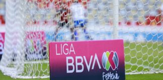 FMF pide al Senado ser incluido en debate de equidad salarial en el deporte