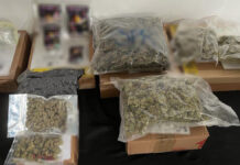 GN decomisa marihuana en empresas de mensajería de Puebla Se realizó el decomiso de marihuana en empresas de mensajería de Nuevo León, Chihuahua, Guanajuato, Coahuila, Puebla y Querétaro.