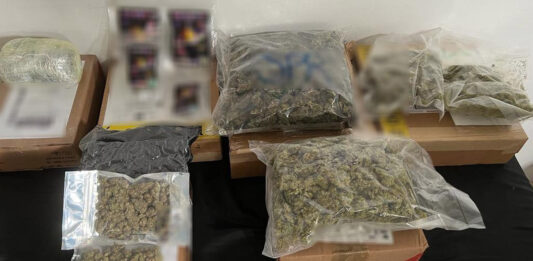 Se realizó el decomiso de marihuana en empresas de mensajería de Nuevo León, Chihuahua, Guanajuato, Coahuila, Puebla y Querétaro.