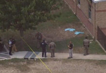 Texas: niña fingió muerte y así sobrevivió a tiroteo niña