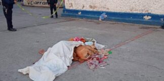 Perrito resguarda cadáver de su dueño y así reaccionan las redes