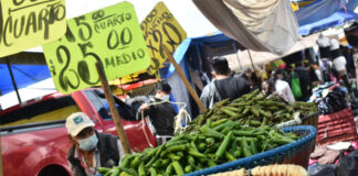 ¿Cuáles son los 24 productos incluidos en la canasta básica? En su plan para controlar la inflación, AMLO dijo que habrá “precios justos, parejos” a 24 productos de la canasta básica.