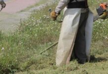 Reducirán inversión en parques por recorte de recursos públicos Recursos