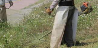 Reducirán inversión en parques por recorte de recursos públicos Recursos