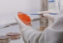 Descifran secuencia completa del virus de la viruela del mono Un grupo de investigadores del Instituto de Salud Carlos III (ISCIII) elaboraron el primer borrador de la secuencia.