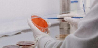 Descifran secuencia completa del virus de la viruela del mono Un grupo de investigadores del Instituto de Salud Carlos III (ISCIII) elaboraron el primer borrador de la secuencia.