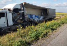 Hallan 4 toneladas de perros y gatos muertos dentro de tráiler en Tamaulipas Transportaba 4 toneladas de perros y gatos muertos, así como corazones y ojos de bovinos, trasladados en tambos de 200 litros.