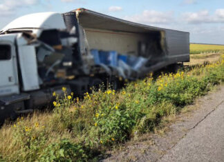 Hallan 4 toneladas de perros y gatos muertos dentro de tráiler en Tamaulipas Transportaba 4 toneladas de perros y gatos muertos, así como corazones y ojos de bovinos, trasladados en tambos de 200 litros.