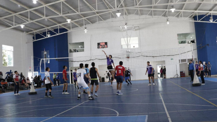 torneo torneo