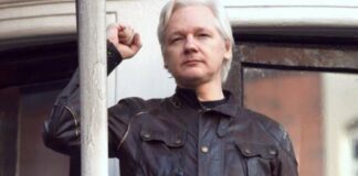 Julian Assange se declara culpable de violar ley de espionaje de EU
