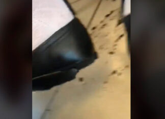 Altas temperaturas de Chihuahua derriten zapato de estudiante zapato chihuahua