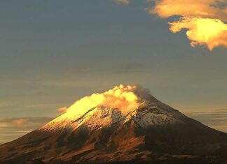 Rescatan a 4 alpinistas del Popocatépetl; murió una mujer Alpinistas