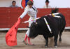 Colombia prohíbe las corridas de toros en todo el país Barbosa
