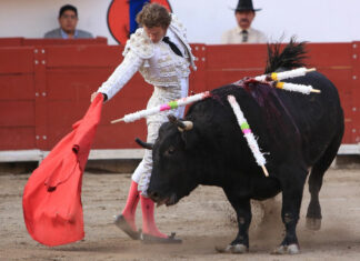 Barbosa propone regular corridas de toros y peleas de gallo Barbosa