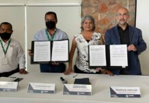 Bosques serán preservados por Ayuntamiento y Conafor Bosques
