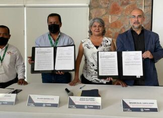 Bosques serán preservados por Ayuntamiento y Conafor Bosques