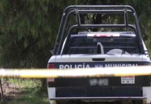 Cabeza humana es hallada junto al río Nexapa en Izúcar Cabeza