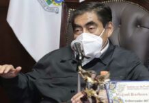 Calderón y Cortés no tienen autoridad para criticar a AMLO: MBH Calderón