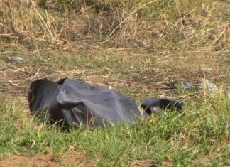 Cuerpos embolsados son cada vez más frecuentes en Totimehuacán Cuerpos