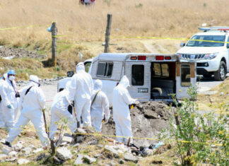 Datos del SESNSP sobre delitos son ilusorios: Causa en Común Datos