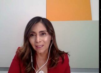 Mercadotecnia resiliente, clave para negocios exitosos: Experta Mercadotecnia