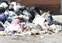 Municipios están rebasados por problemas de basura: MBH Municipios