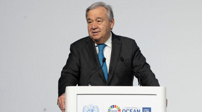 ONU alerta por “emergencia” en los océanos ONU