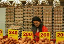 Crisis alimentaria afectará a millones en América Latina: ONU ONU América Latina