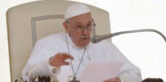 Papa Francisco pide no usar al trigo como “arma de guerra” Papa