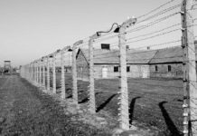 Papa Francisco ordena publicar archivos sobre Holocausto Papa Francisco