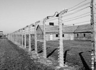 Papa Francisco ordena publicar archivos sobre Holocausto Papa Francisco